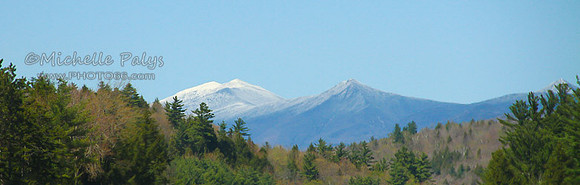 IMG_8652