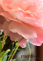 Harrington Flowers