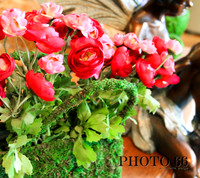 3918-Photo66