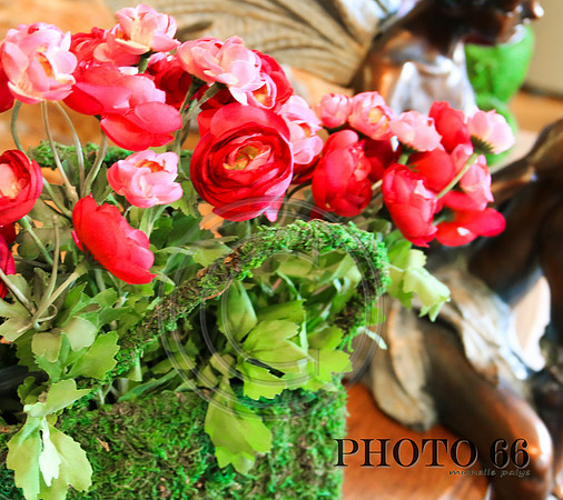 3918-Photo66
