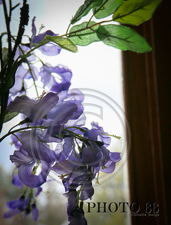3921-Photo66