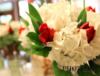 3940-Photo66