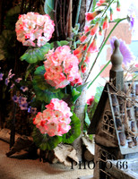 3919-Photo66