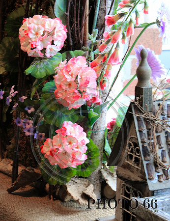 3919-Photo66