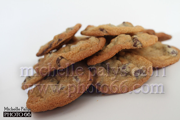 7893-Photo66