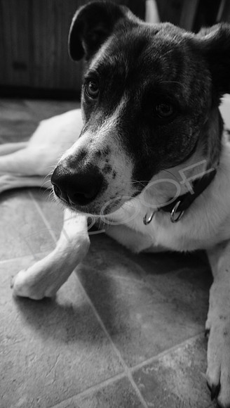 DSC05908