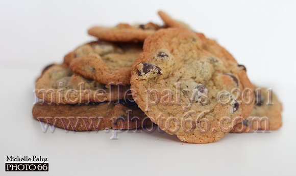 7811-Photo66
