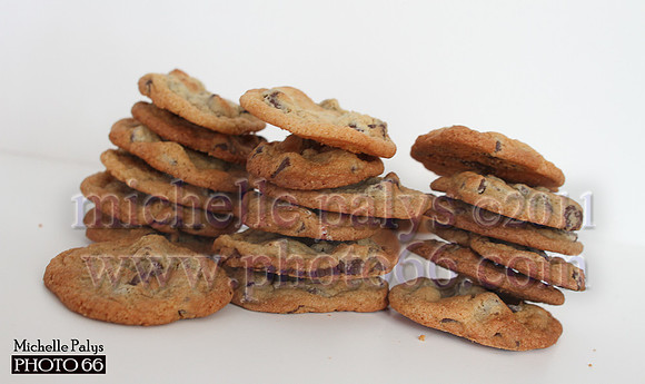 7834-Photo66