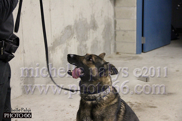 7794-Photo66