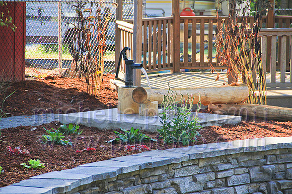 8957-Photo66