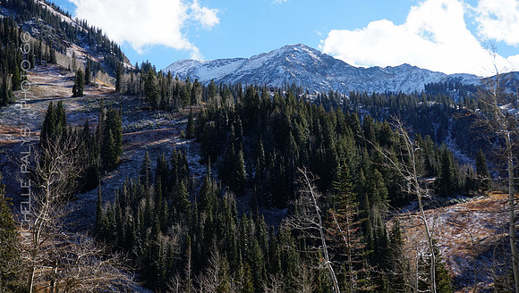 00600-Photo66