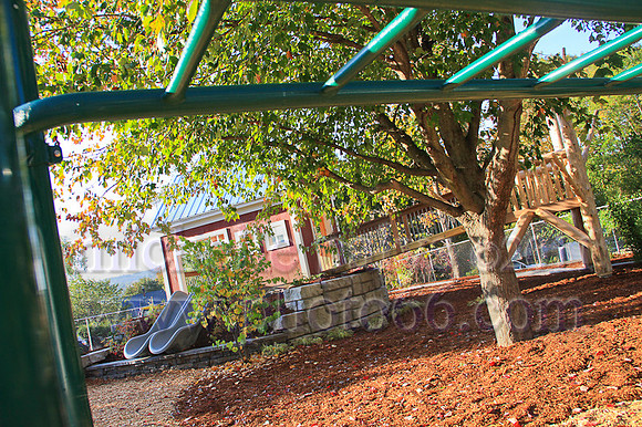 8998-Photo66