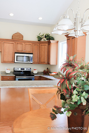 2336-Photo66