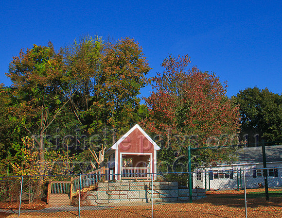 9031-Photo66