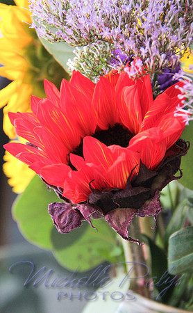 IMG_7984-Photo66