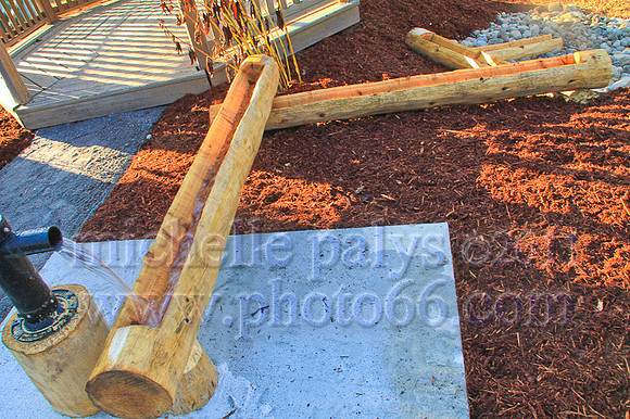 8858-Photo66