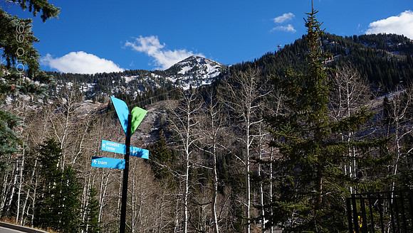 00590-Photo66