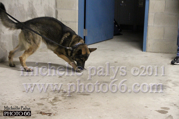 7778-Photo66