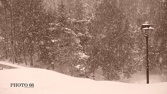 01886-Photo66