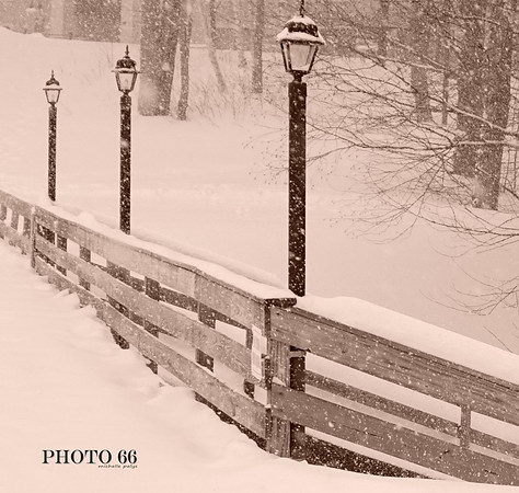 01888-Photo66