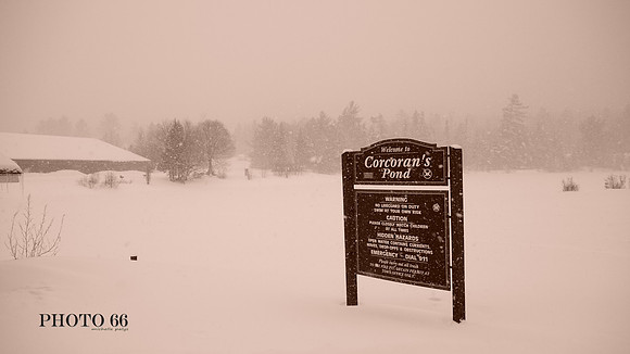 01902-Photo66