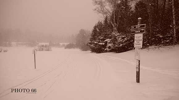 01903-Photo66