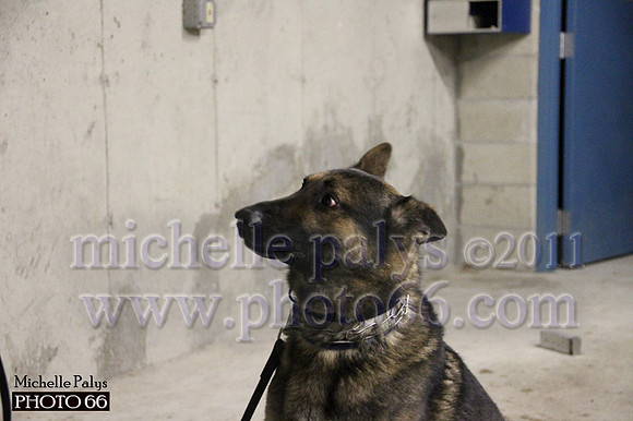 7798-Photo66