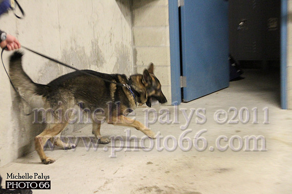7776-Photo66