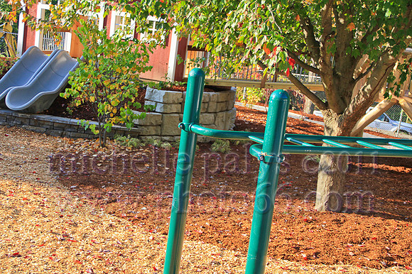 8976-Photo66