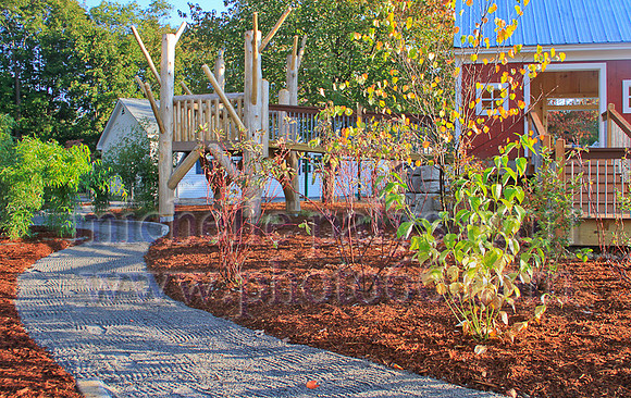 8765-Photo66