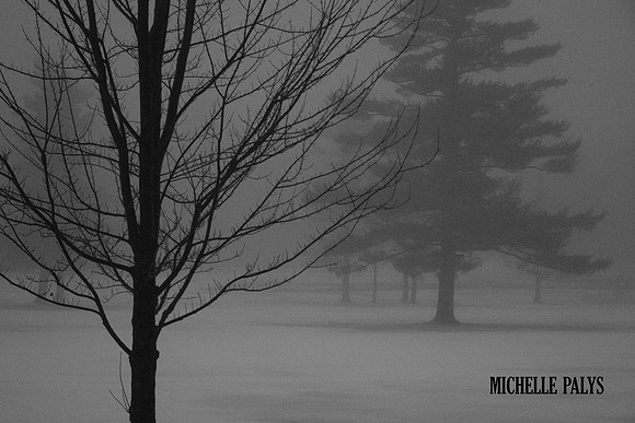 Day 01 "Winter Whiskers"