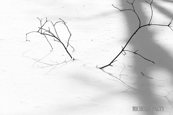 Day 03 "Sticks and Shadows"