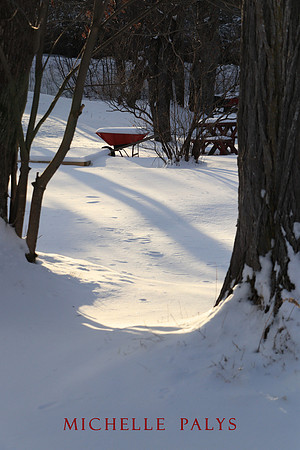 Day 03B "Red Wheelbarrow"