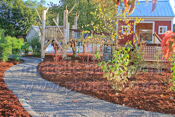 8770-Photo66