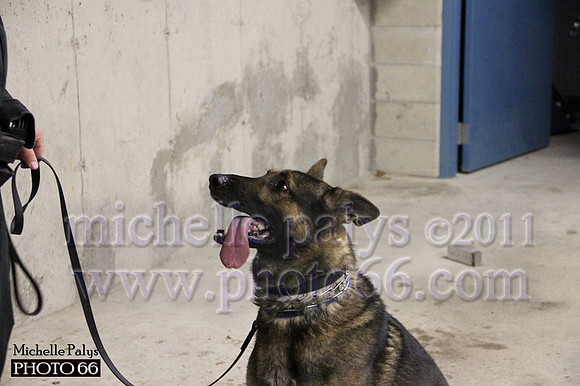 7796-Photo66