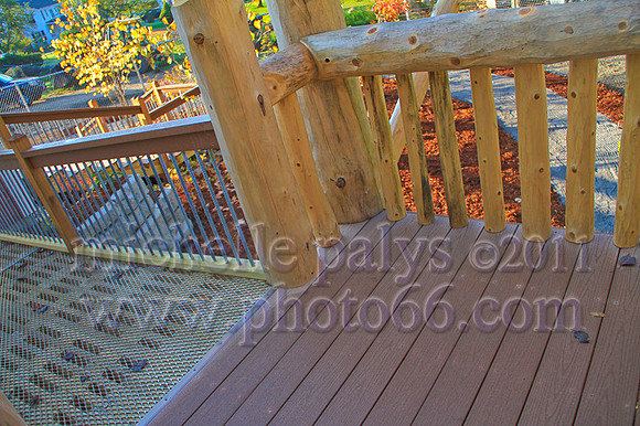 8830-Photo66