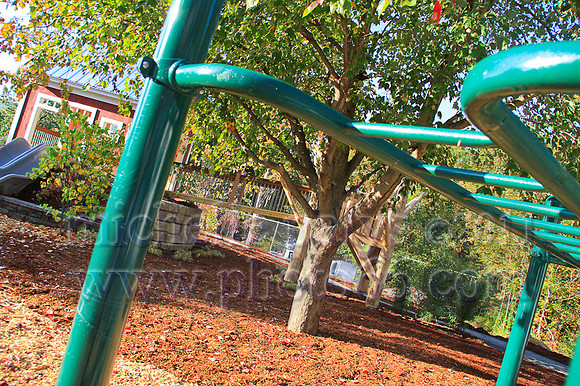 8999-Photo66