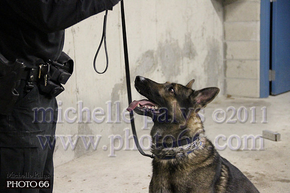 7789-Photo66