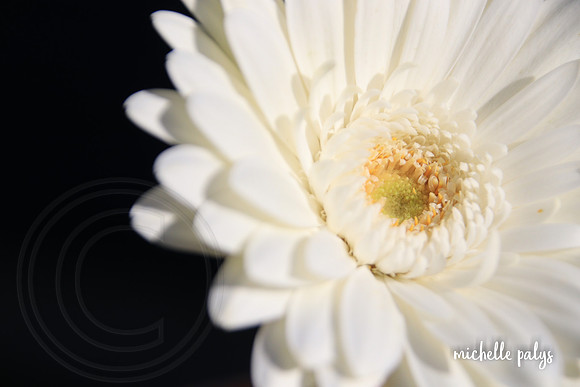 0186-photo66-2