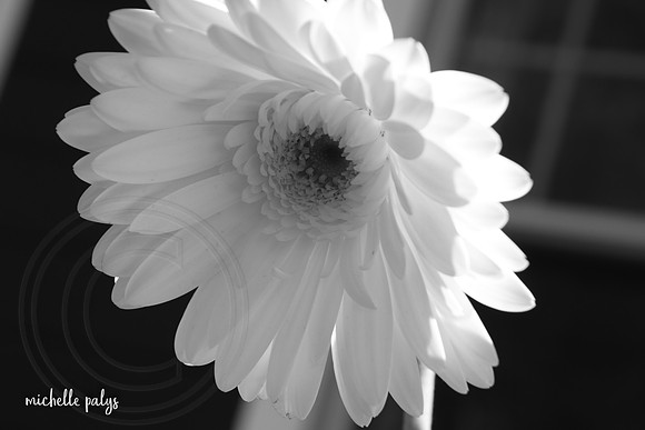 0220-photo66