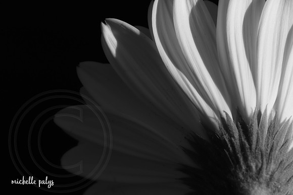 0240-photo66
