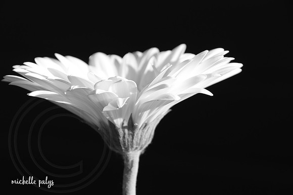 0274-photo66