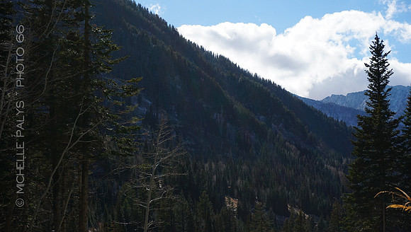 00601-Photo66