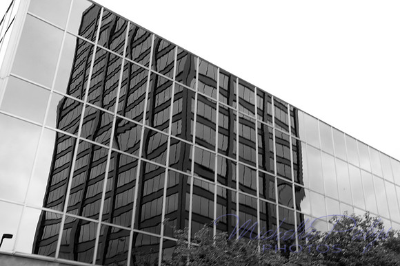 1256-michellepalysphotos