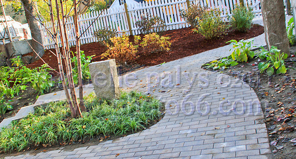 8904-Photo66