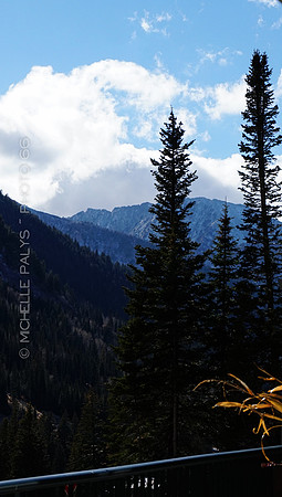 00603-Photo66