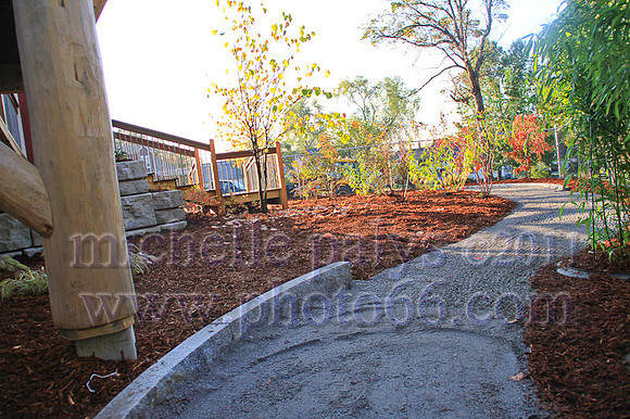 8764-Photo66