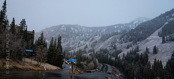 00701-Photo66