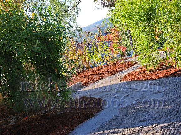 9240-Photo66
