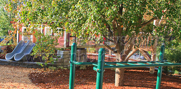 8979-Photo66